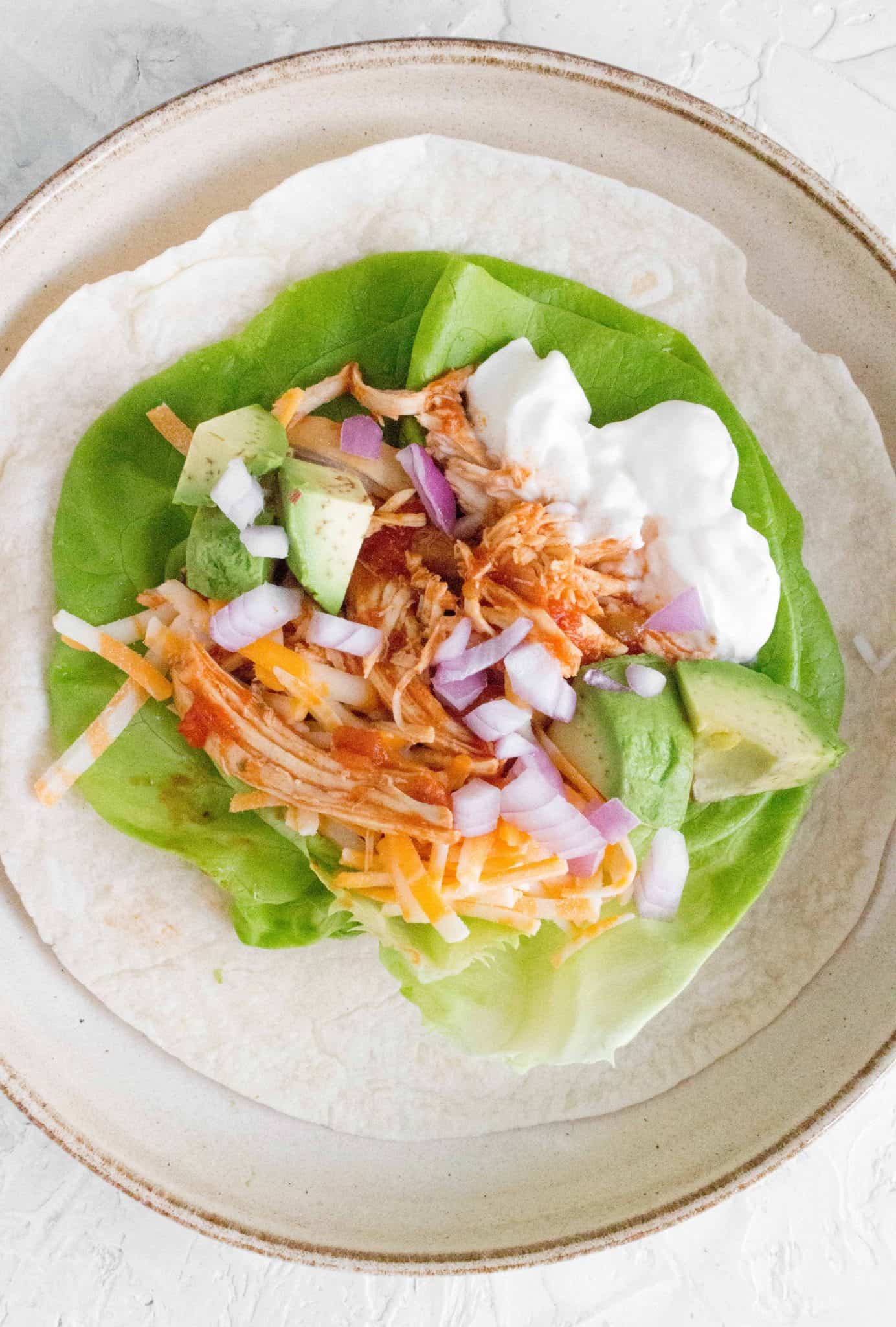 Slow Cooker Cilantro Lime Salsa Shredded Chicken One Pot Only — easy recipes using one pot only!