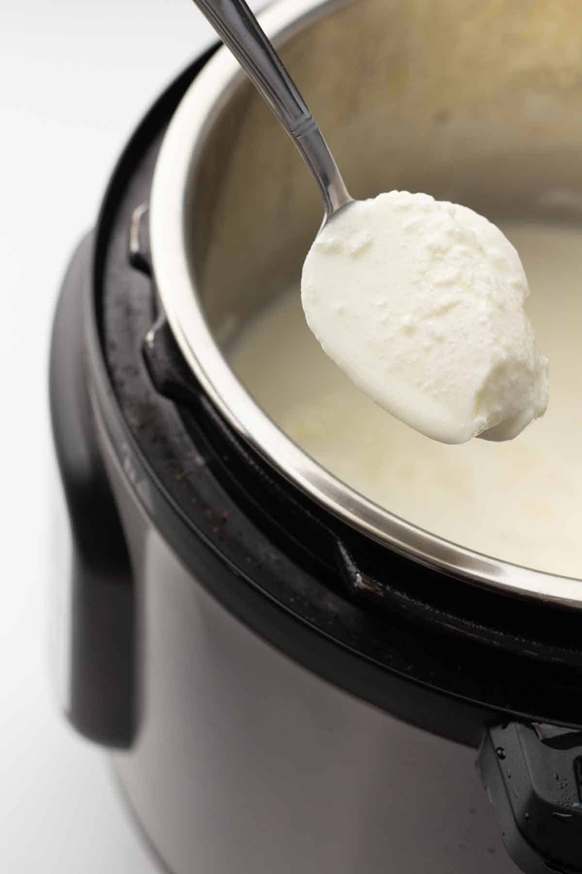 Instant Pot Yogurt (Sous Vide or Yogurt Mode) One Pot Only