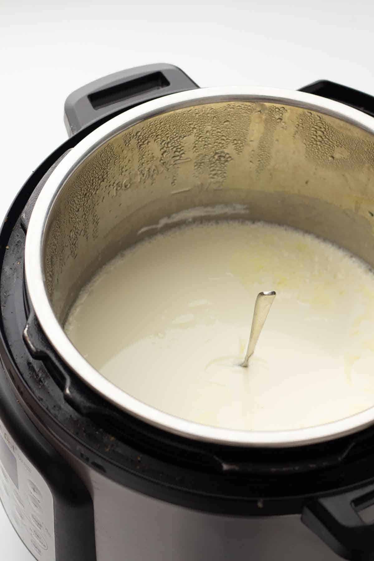 Instant Pot Yogurt (Sous Vide or Yogurt Mode) One Pot Only