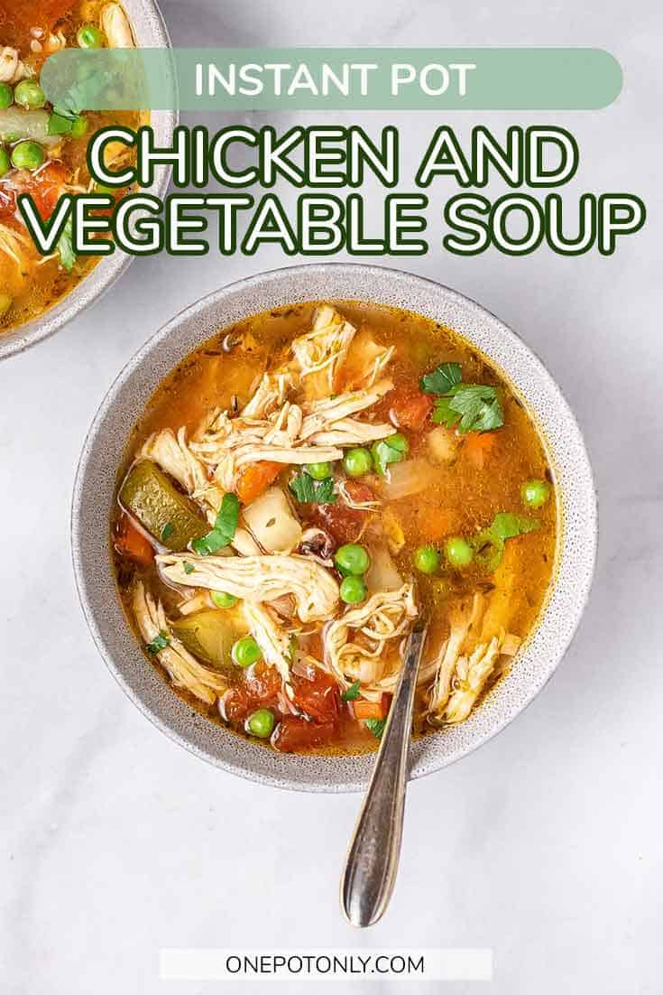 Instant Pot Chicken Vegetable Soup One Pot Only — easy recipes using one pot only!