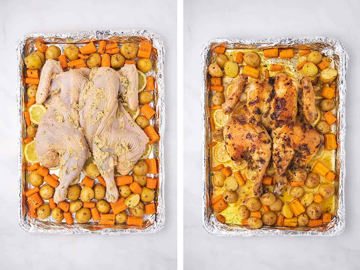 Set of two photos showing before and after spatchcock chicken roasted on a sheet pan.