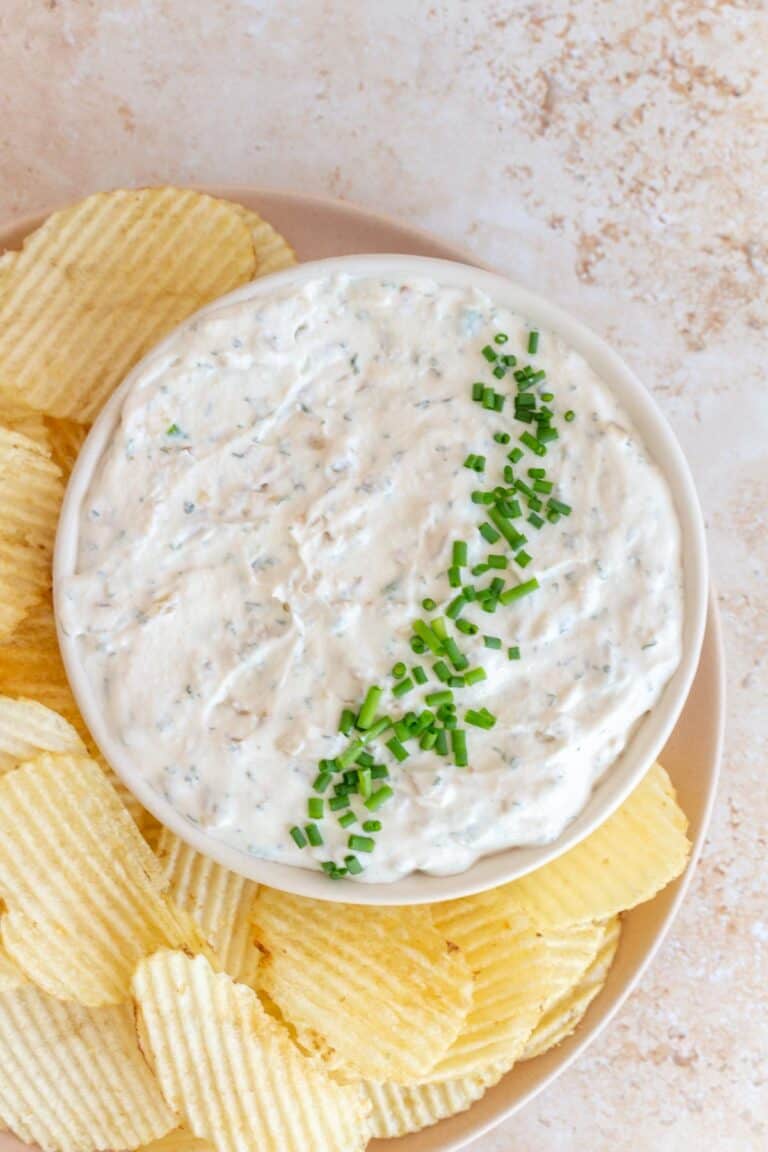 Sour Cream and Onion Dip One Pot Only — easy recipes using one pot only!