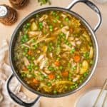 Overhead view of a pot of chicken and cabbage soup.