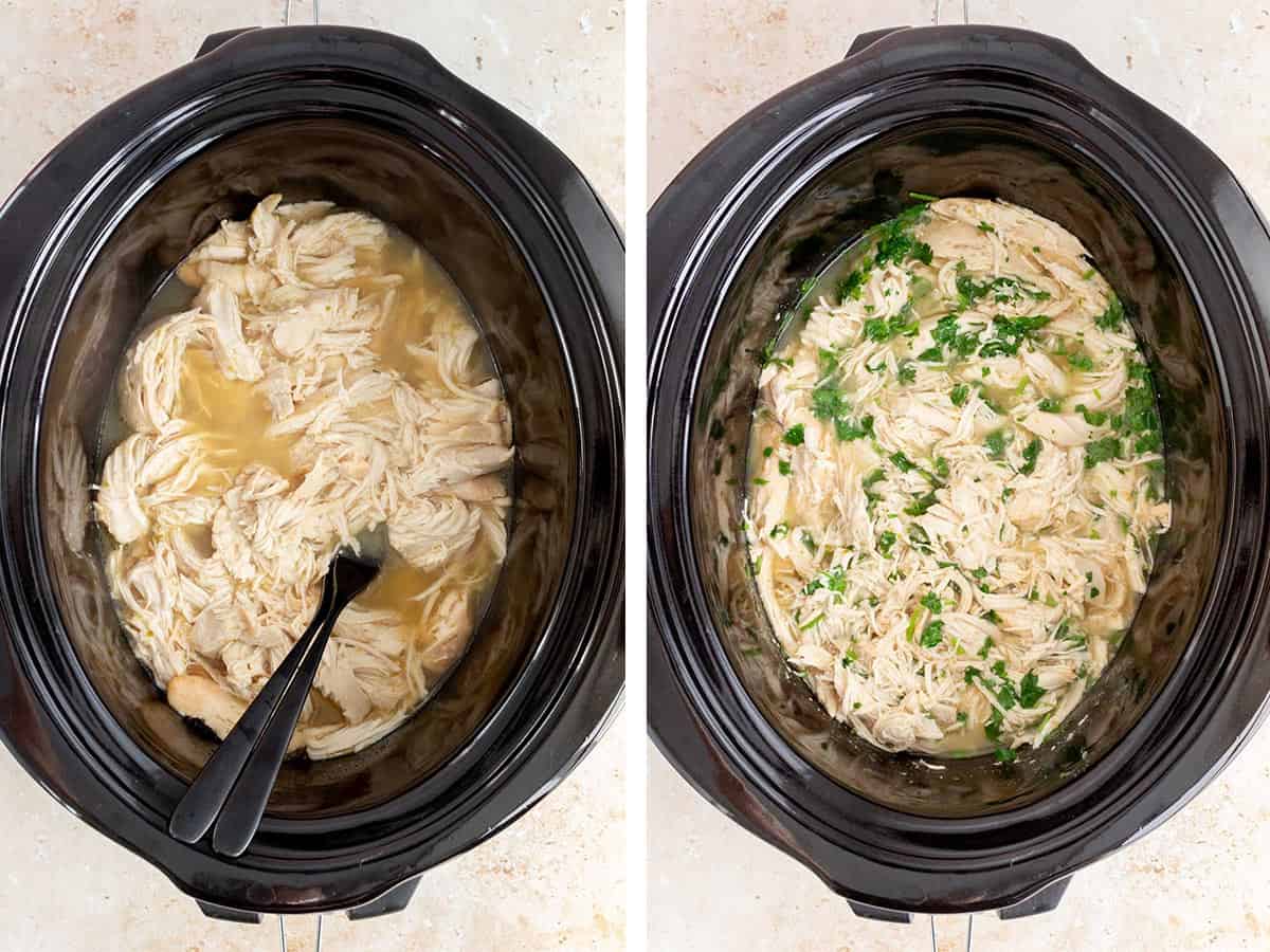 Set of two photos showing chicken breasts shredded with two forks and cilantro added.